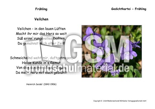 Veilchen-Seidel.pdf